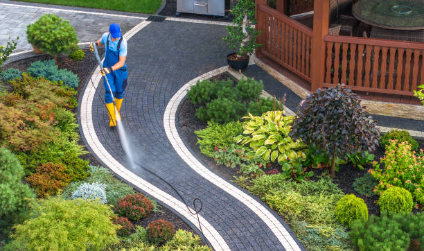 Best Pressure Washing Driveway  in Middlesborough, KY